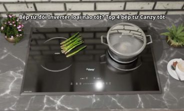 Bếp từ đôi Inverter loại nào tốt Top 4 bếp từ Canzy tốt