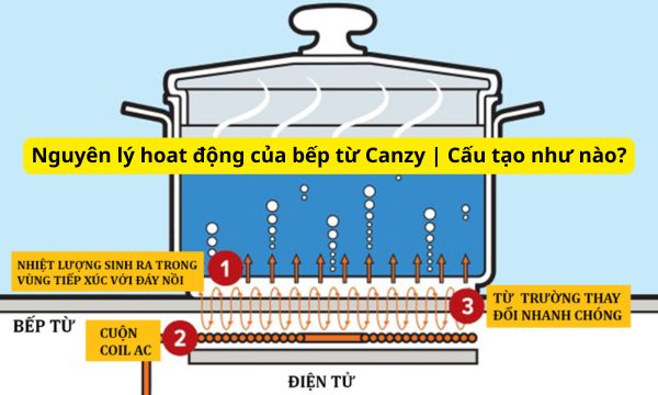 Tìm hiểu bếp từ là gì? Có an toàn không? Ưu- nhược điểm 1 Cấu tạo và nguyên lý hoạt động của bếp từ Canzy